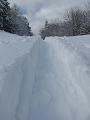 Slika_06