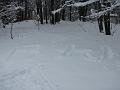 Slika_12