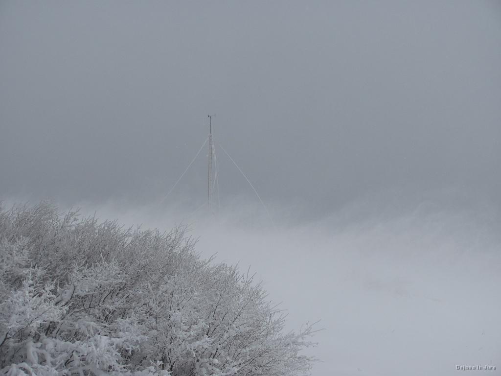 Slika_09.jpg - No, ja. Tacga pa res nimaš vsak dan.