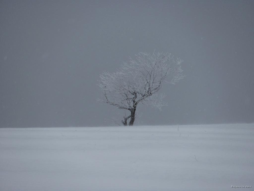 Slika_13.jpg - Kljub burji je lepo še vedno lepo!