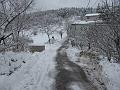Slika_03