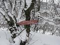 Slika_04