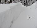 Slika_07