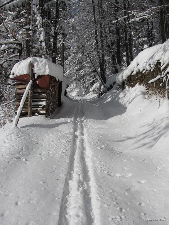 Slika_11.jpg - Kot detektiva ugotoviva, da je šel v nasprotni smeri kot midva.