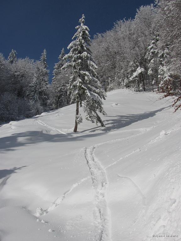 Slika_14.jpg - Ja, tu gor pa bova vseeno morala, če hočeva slediti sledi. Na tem klancu, sem imel kar veliko težav, saj so bile bolečine v levem boku/kolku kar velike. Kaj šele bo, ko pojem vse naklofene? Raje ne pomislim.