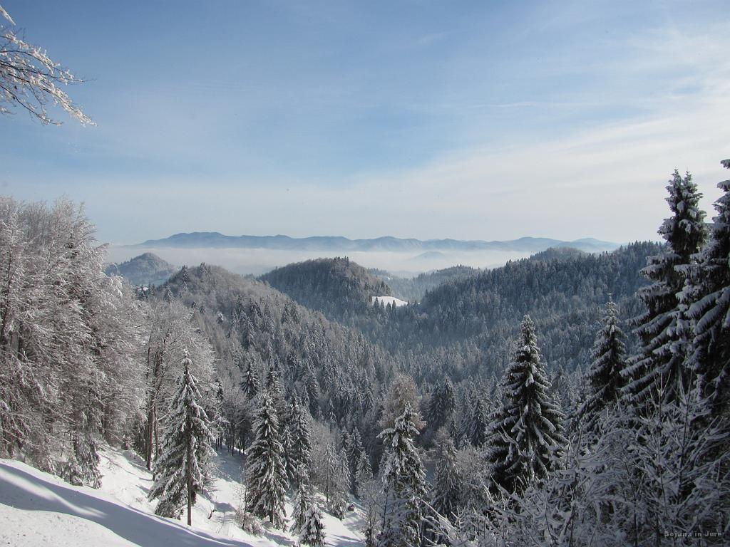 Slika_15.jpg - Mmmmmm....da bi to zamudila. Živimo samo enkrat!