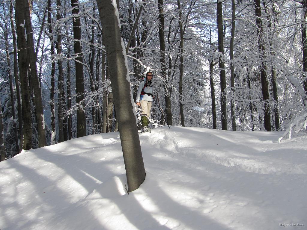 Slika_16.jpg - Vrh Kovčka (789 m). Tu gor verjetno nikoli več ne bova. Polhn >kufr< ga imava :)
