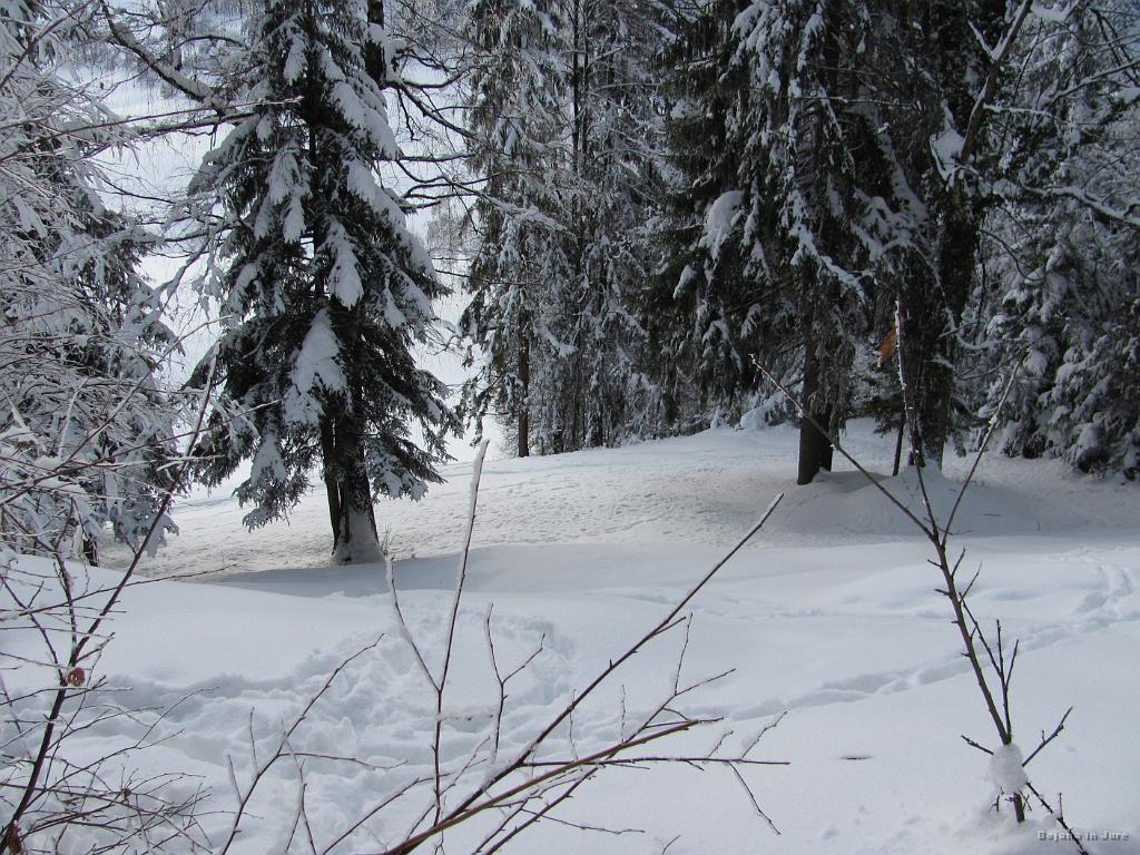 Slika_33.jpg - Povsem na robu gozda se preobujem (psi, vetrovka in vse potrebno), nato pa...