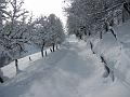 Slika_06