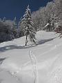 Slika_14