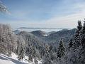 Slika_15