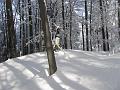Slika_16