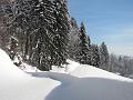 Slika_31