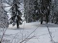Slika_33