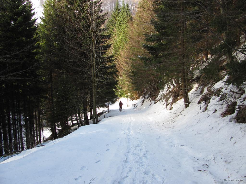 Slika_10.jpg - Rahel spust, do dveh potokov, ki sva jih dokaj težko prečila.