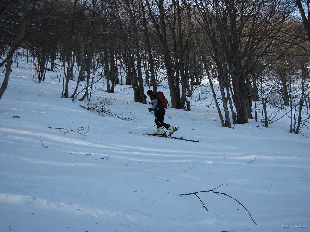 Slika_16.jpg - Še skozi gozd, nato pa čistina do vrha Porezna.