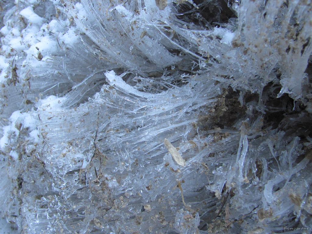 Slika_24.jpg - Lepote narave. Bojanina teorija je, da je voda v zemlji počasi zmrzovala, se zaradi večjega volumna širila skozi luknjice v zemlji in na ta način ustvarila do 10 cm dolge ledene laske.