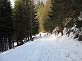 Slika_10