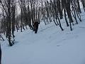 Slika_23
