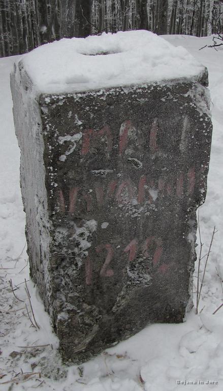 Slika_16.jpg - Mali Javornik (1210 m).