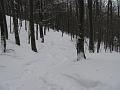 Slika_19