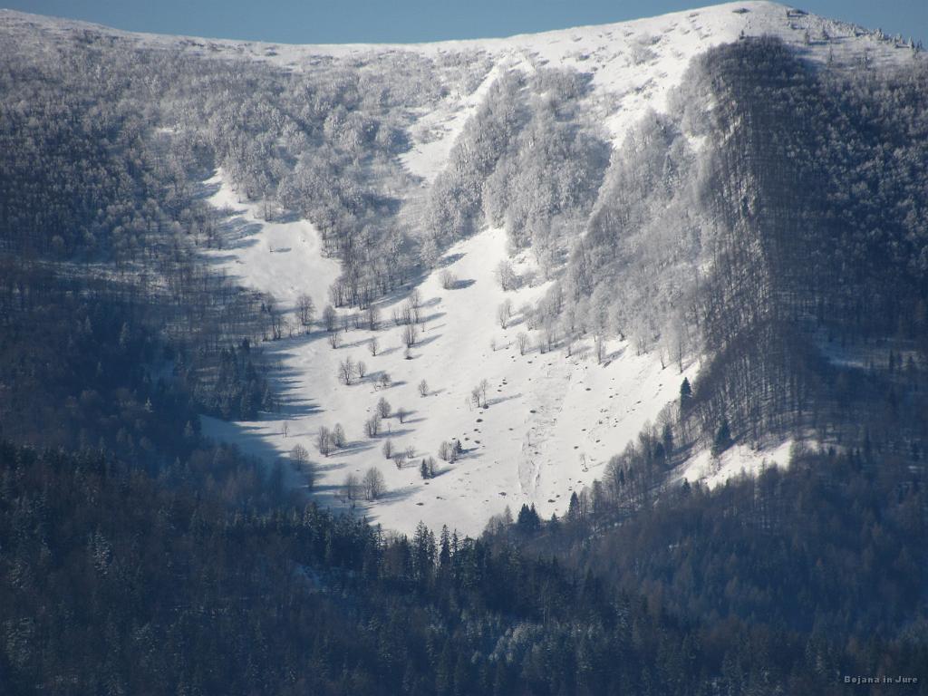 Slika_06.JPG - Najbolj smučabilen del vzpona na Porezen. Zoom na čistino, po kateri sva se že vzpenjala dobre dva tedna nazaj.