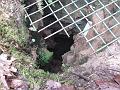 Slika_03