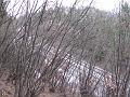 Slika_15