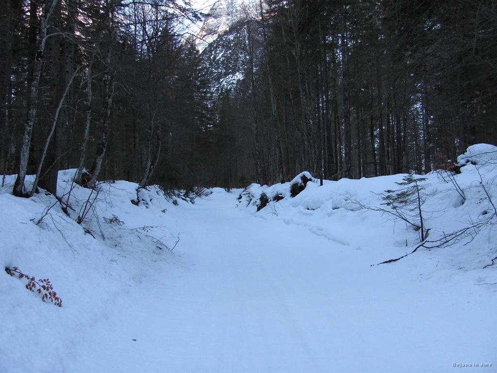 Slika_05.jpg - Po tekaški progi v Tamar.