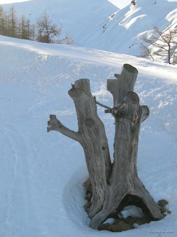 Slika_053.jpg - Mož in žena. :) (Slikala Saša J.)