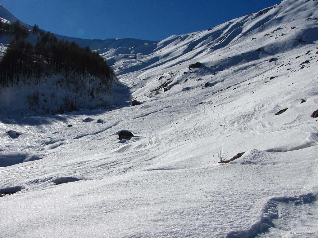 Slika_097.jpg - Pogled nazaj na najin štartni kucl in gozdiček. Prišla sva cela do proge! Turca za vseh dvajset prstov obliznit.