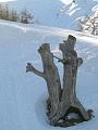 Slika_053