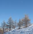 Slika_103