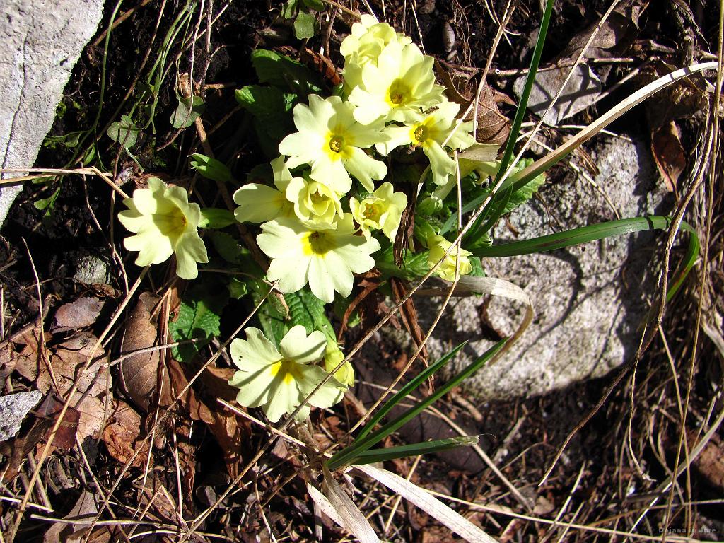 Slika_45.JPG - 19.2.2011 nad Vipavo.
