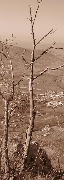 Slika_58.JPG - Utrinek.