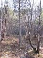 Slika_07