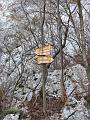 Slika_12