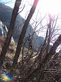 Slika_40