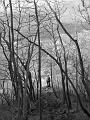 Slika_53