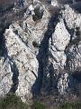 Slika_67