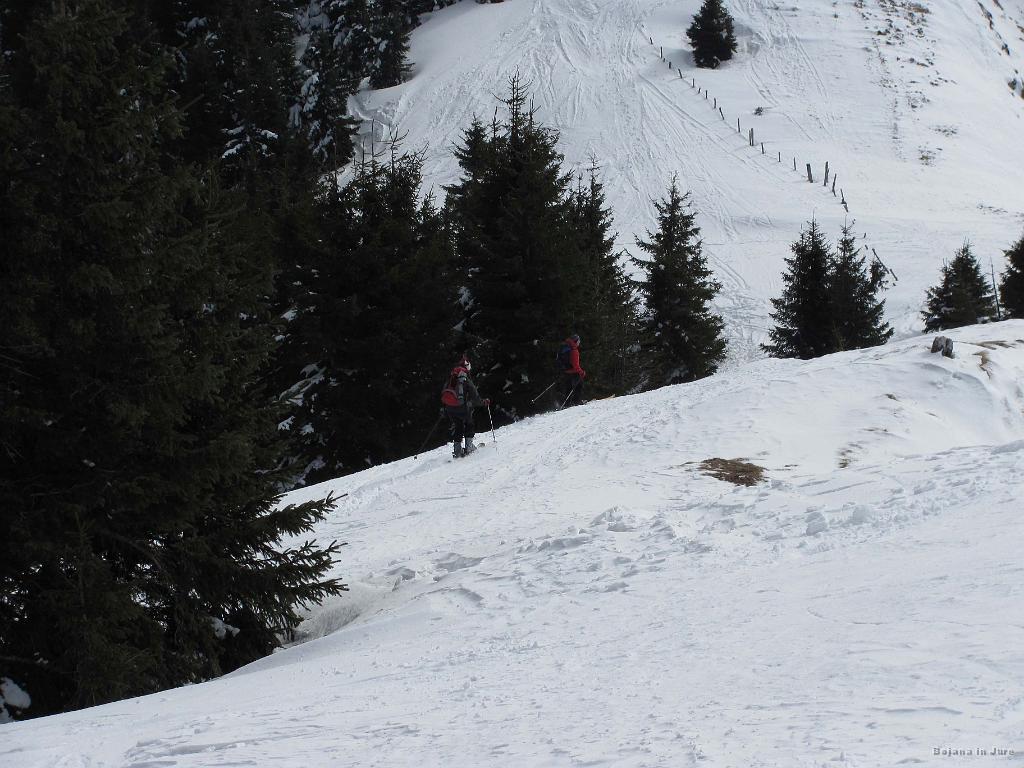 Slika_38.JPG - Tu smo pa počasi zavili kar med smreke. Je bilo prav zabavno, kajti smrekice so zelo gosto postavljene.