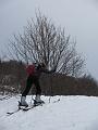 Slika_06