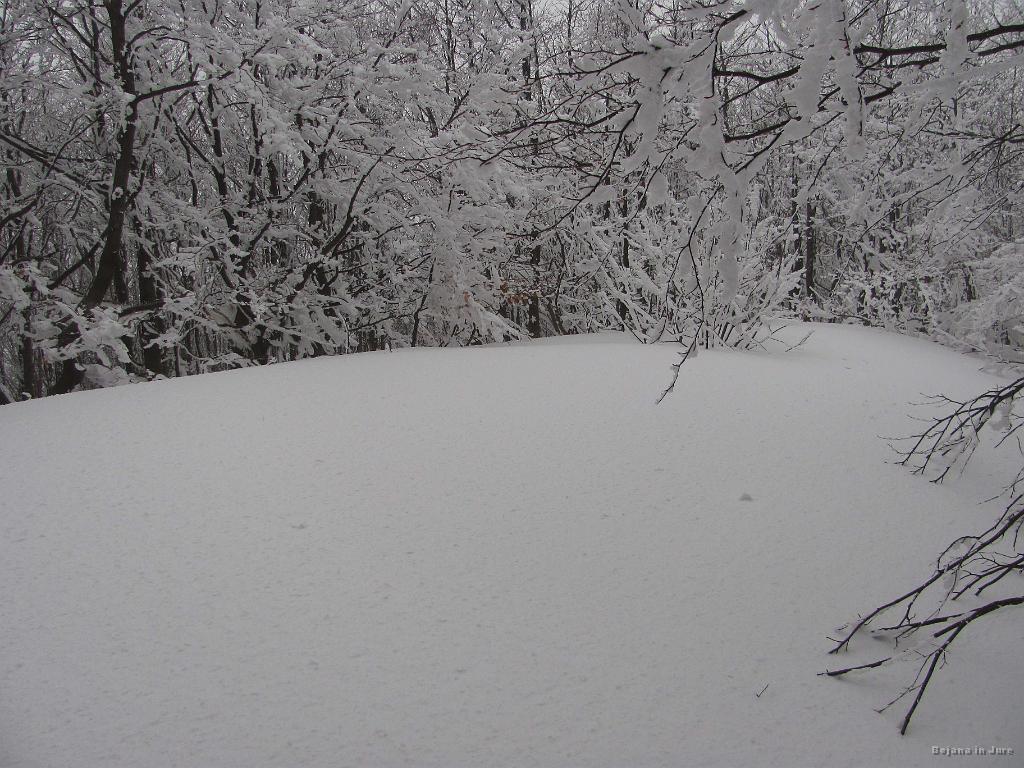 Slika_24.jpg - Na tem kuclčku, ki ga ni pomendral še nihče, sva se obrnila.