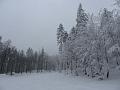Slika_11