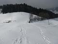 Slika_31