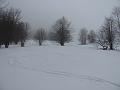 Slika_51
