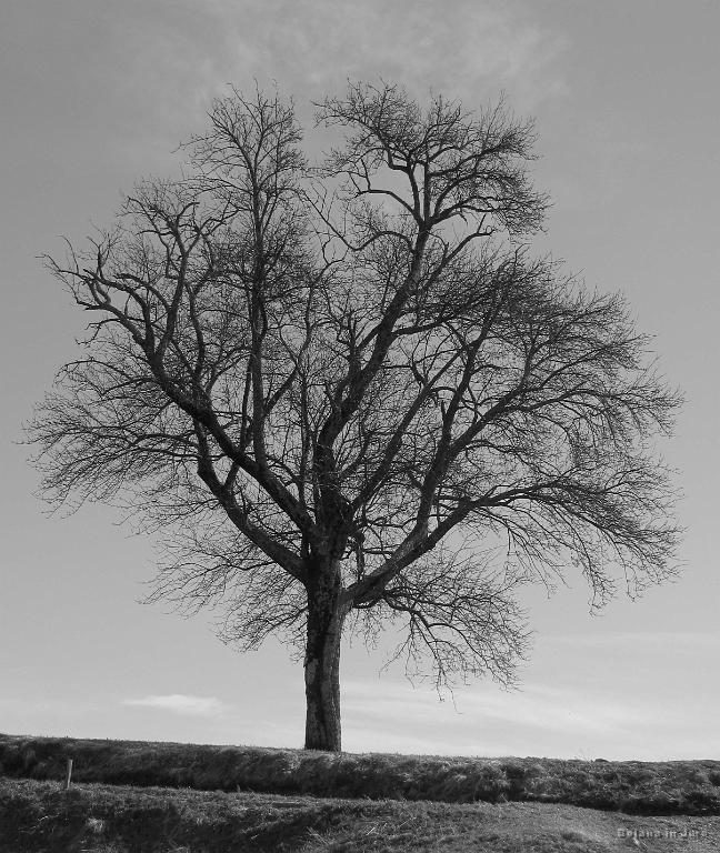 Slika_11.jpg - Utrinek.