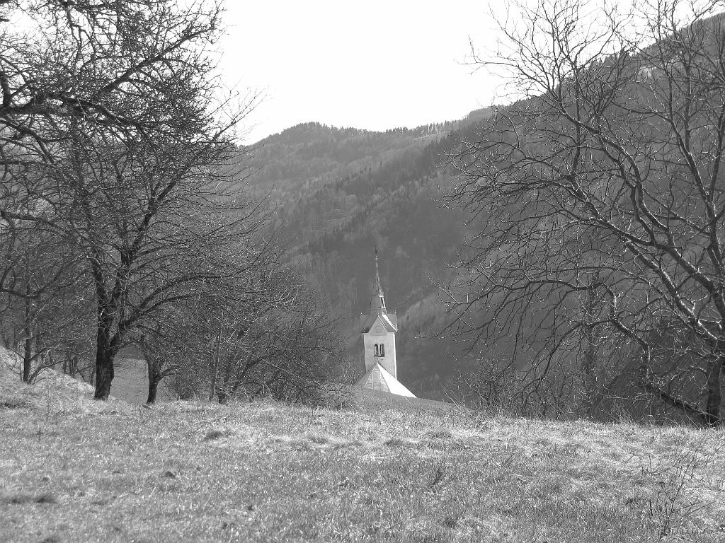 Slika_20.jpg - Utrinek.