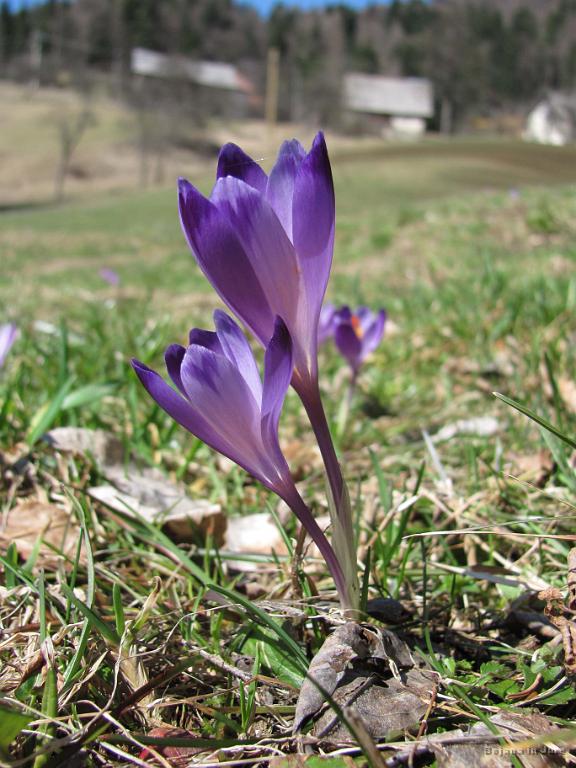 Slika_26.jpg - Utrinek.