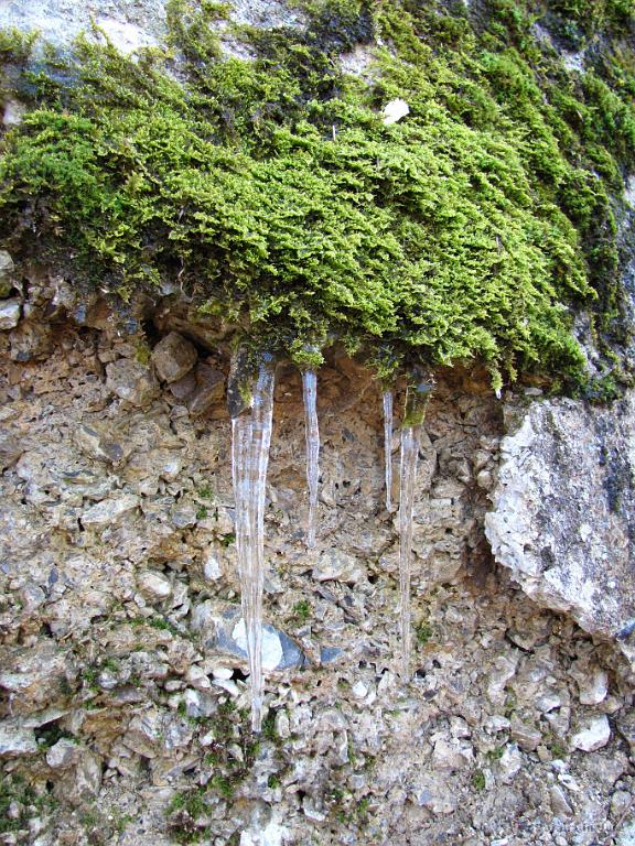 Slika_45.jpg - Kljub visokim temperaturam nekatere ledene sveče še vztrajajo.